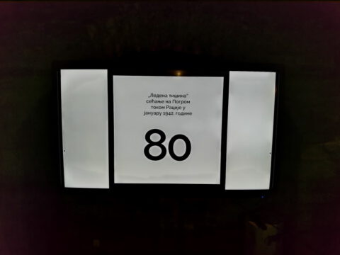 IMG_20221101_183336_resize