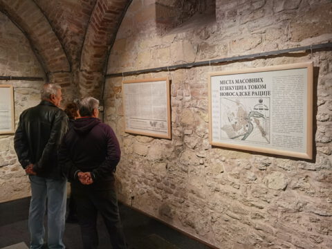 IMG_20221101_183606_resize