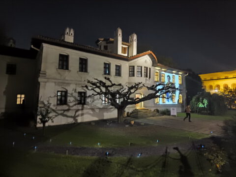 IMG_20221101_200743_resize