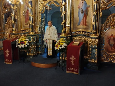 IMG_20221113_172047_resize