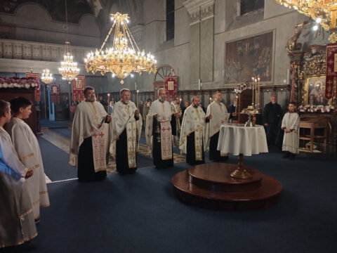 IMG_20221113_174012_resize