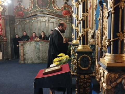 IMG_20221114_180119_resize