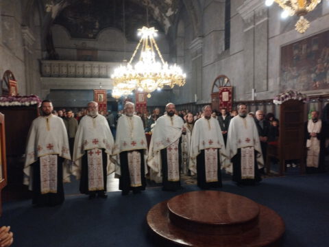 IMG_20221114_181318_resize