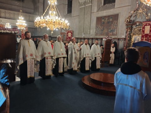 IMG_20221114_181324_resize