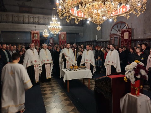 IMG_20221114_182651_resize