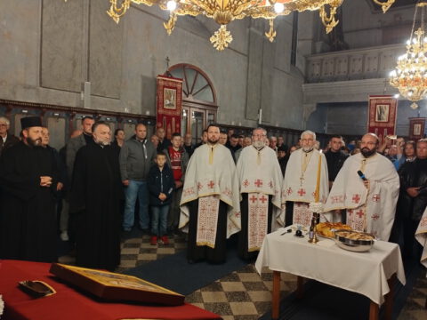 IMG_20221114_182738_resize