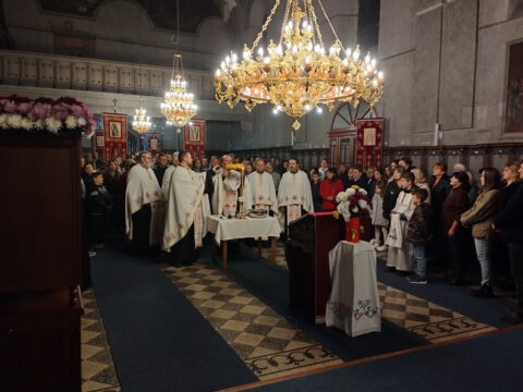 IMG_20221114_182939_resize