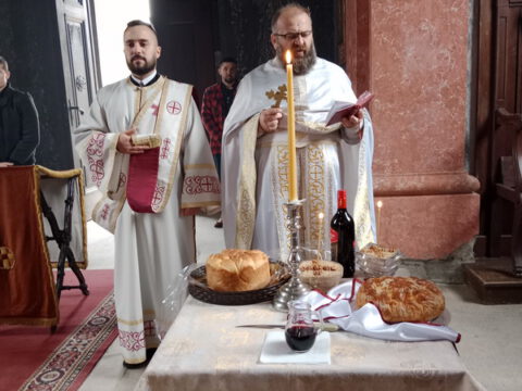 IMG_20221116_101147_resize