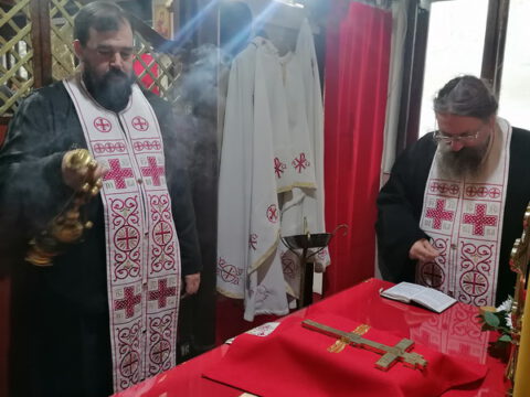 IMG_20221120_150714_resize