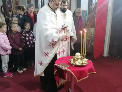 IMG_20221120_153443_resize