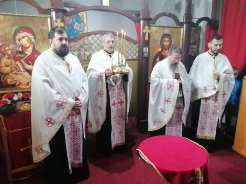 IMG_20221120_153546_resize