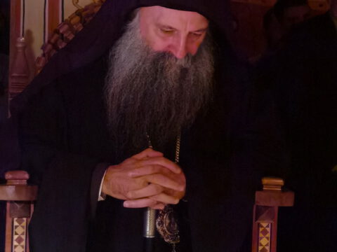 IMG_20221120_181353_resize