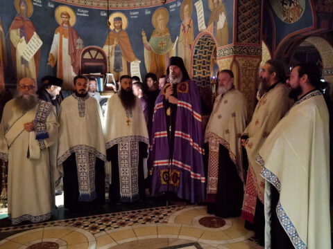 IMG_20221120_183901_resize