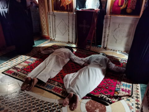 IMG_20221120_192936_resize