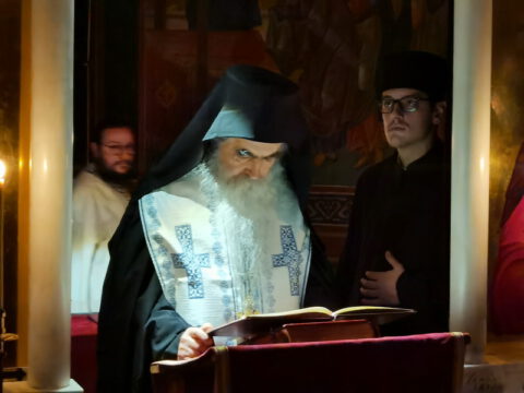 IMG_20221120_193032_resize