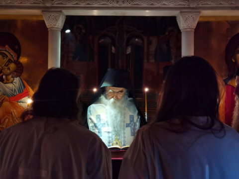 IMG_20221120_193120_resize