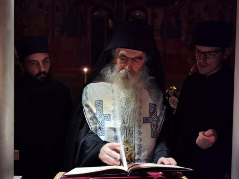 IMG_20221120_193129_resize