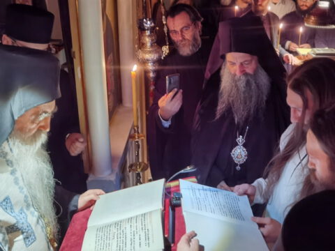 IMG_20221120_193200_resize