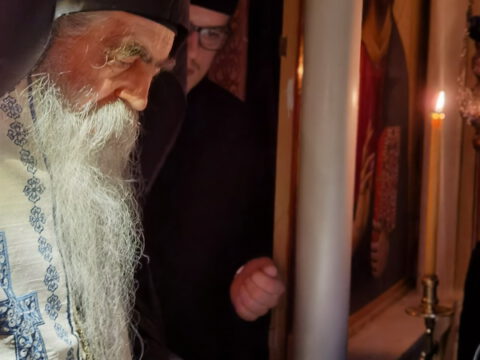 IMG_20221120_193209_resize