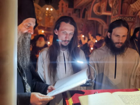 IMG_20221120_193313_resize