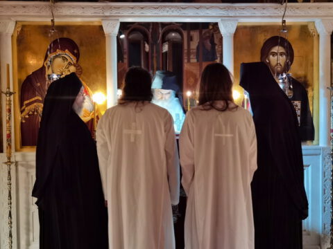 IMG_20221120_194011_resize