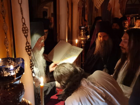 IMG_20221120_194356_resize