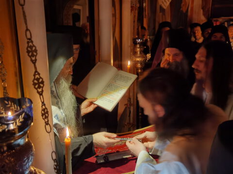 IMG_20221120_194400_resize