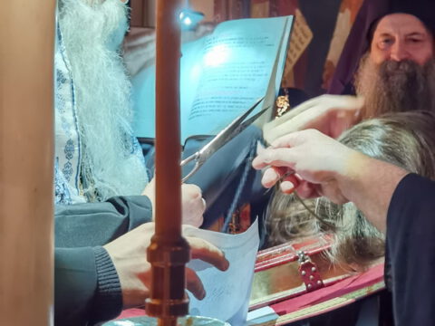 IMG_20221120_194505_resize