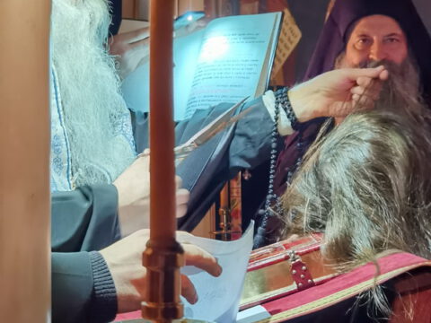 IMG_20221120_194509_resize