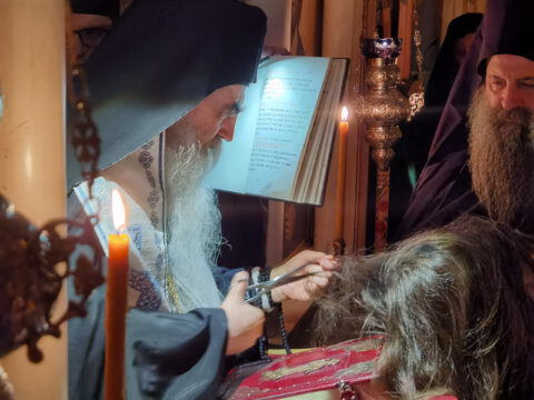 IMG_20221120_194518_resize