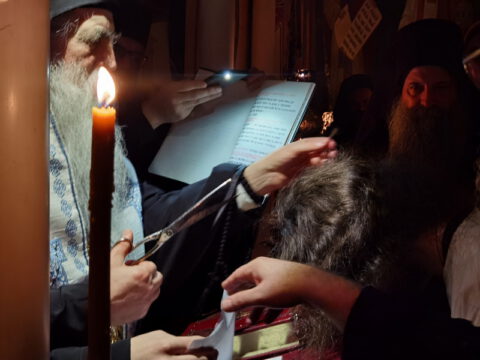 IMG_20221120_194605_resize