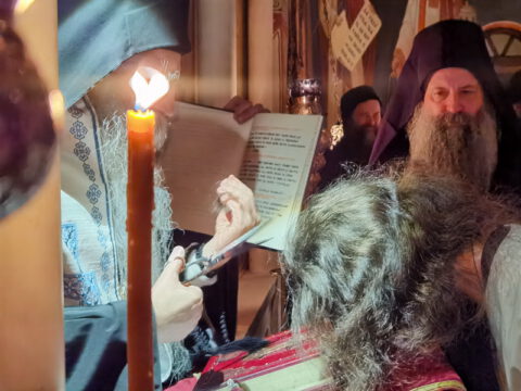 IMG_20221120_194612_resize