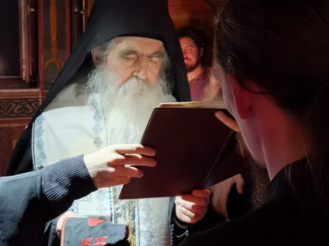 IMG_20221120_194813_resize