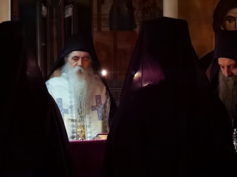 IMG_20221120_200722_resize