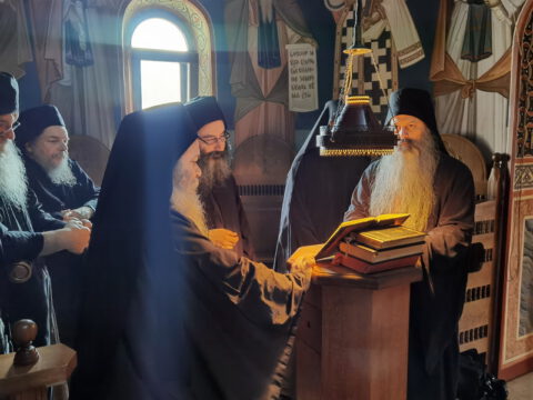 IMG_20221121_075845_resize