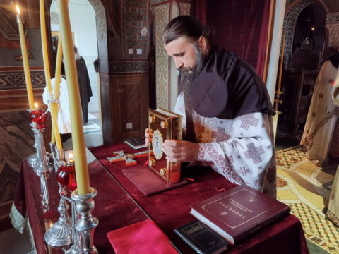 IMG_20221121_080608_resize