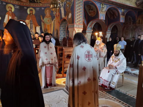 IMG_20221121_081028_resize