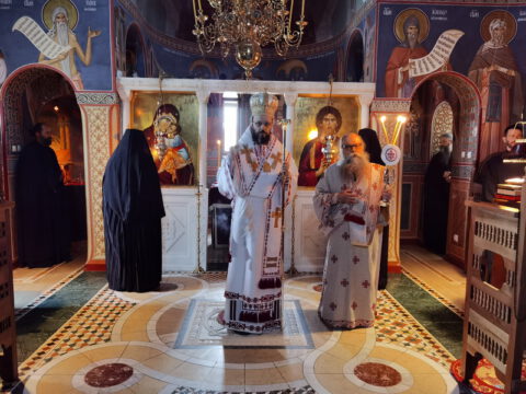 IMG_20221121_082559_resize