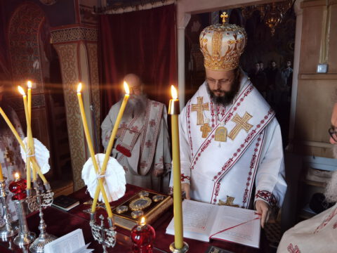 IMG_20221121_082655_resize