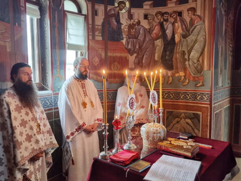 IMG_20221121_084056_resize