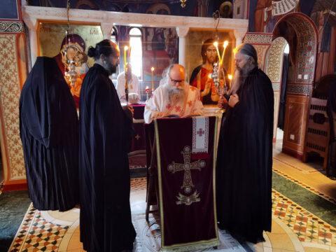 IMG_20221121_084352_resize