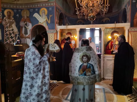 IMG_20221121_091114_resize