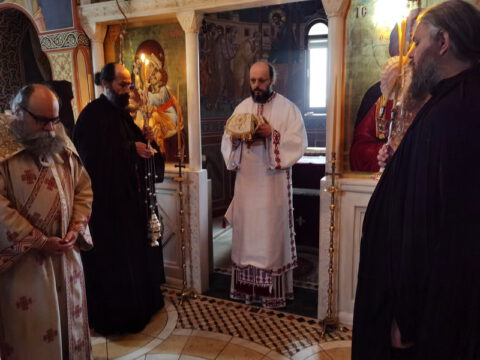 IMG_20221121_091147_resize