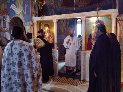 IMG_20221121_091204_resize