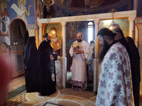 IMG_20221121_091224_resize