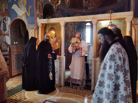 IMG_20221121_091236_resize