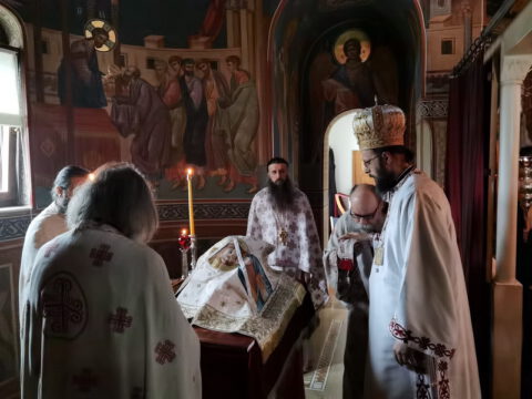 IMG_20221121_091340_resize