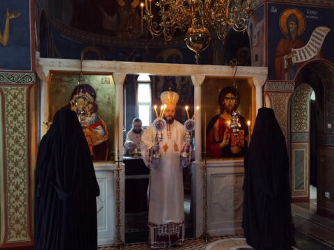 IMG_20221121_092050_resize