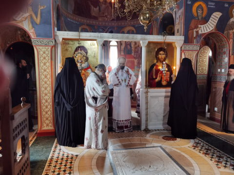 IMG_20221121_093521_resize