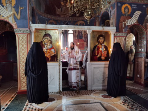 IMG_20221121_094105_resize